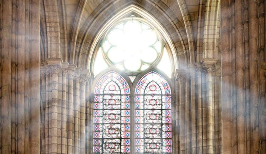 cathedral dio stained glass